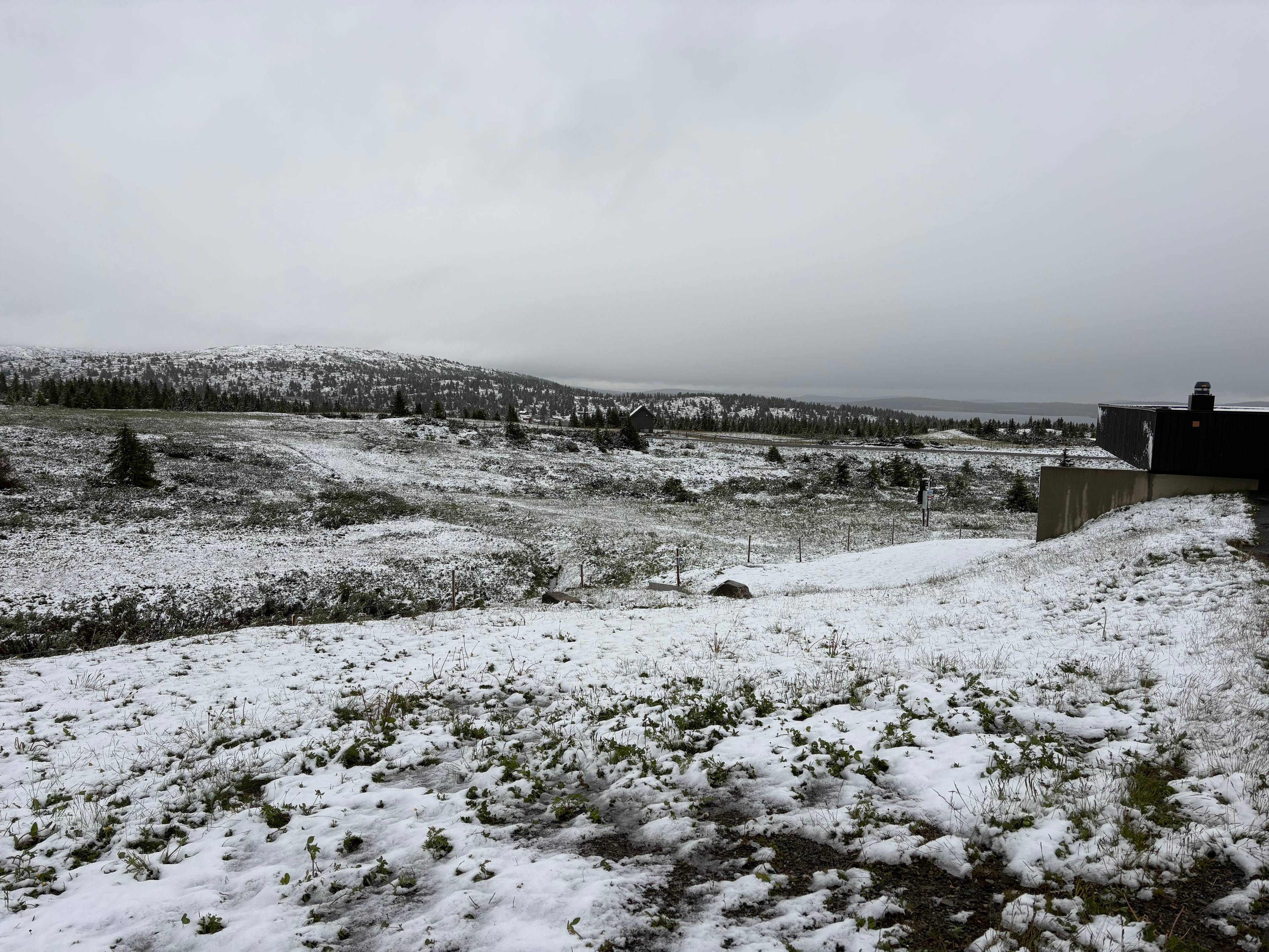 snø på gress