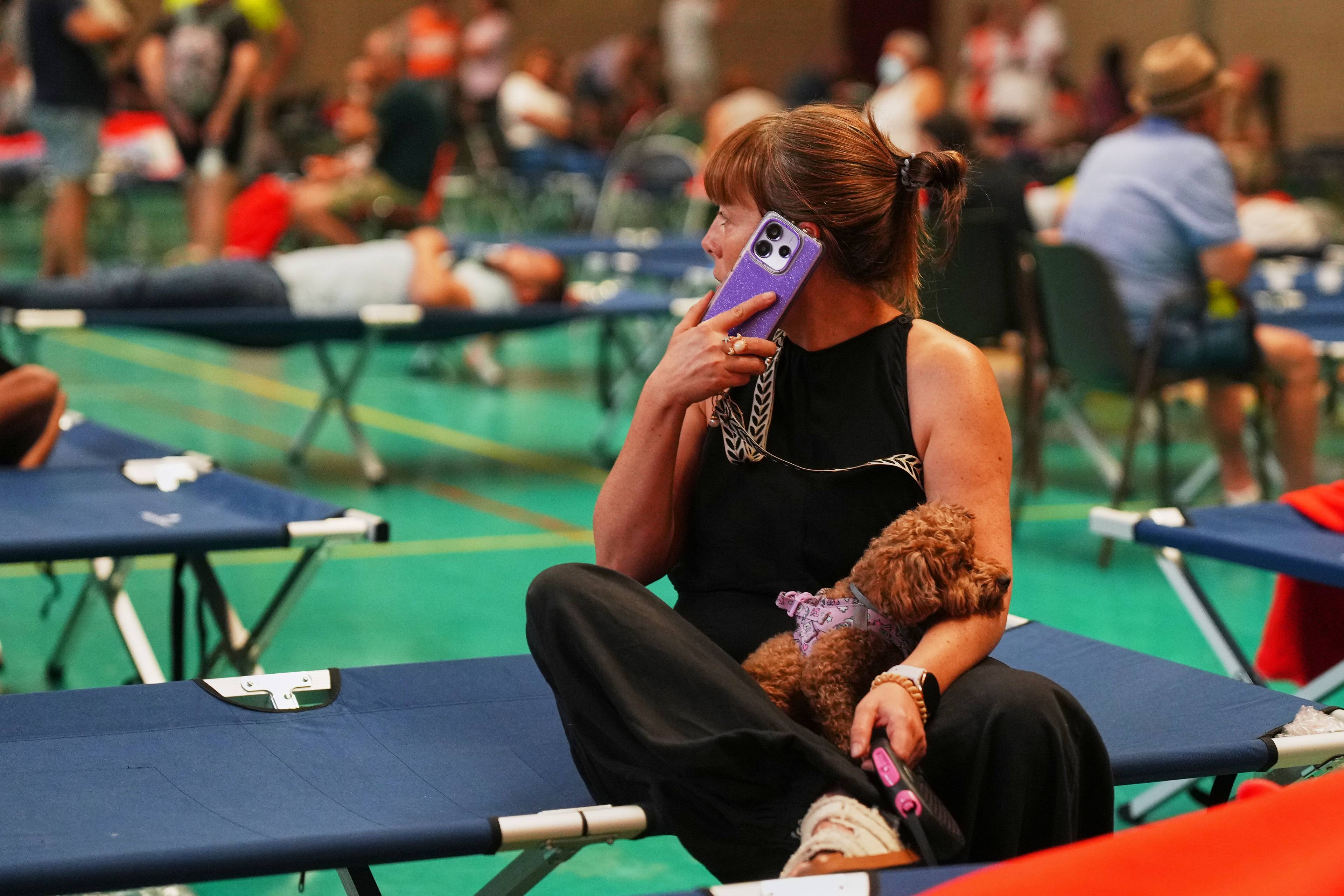 Kvinne med hund snakker i telefonen sittende på en feltseng i en stor idrettshall med mange folk. (Bildebeskrivelsen er laget av en KI-tjeneste)