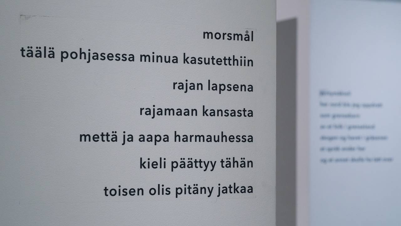 M Seppola Simonsen
Utvalg fra diktsamlingen Nord/Pohjoinen.