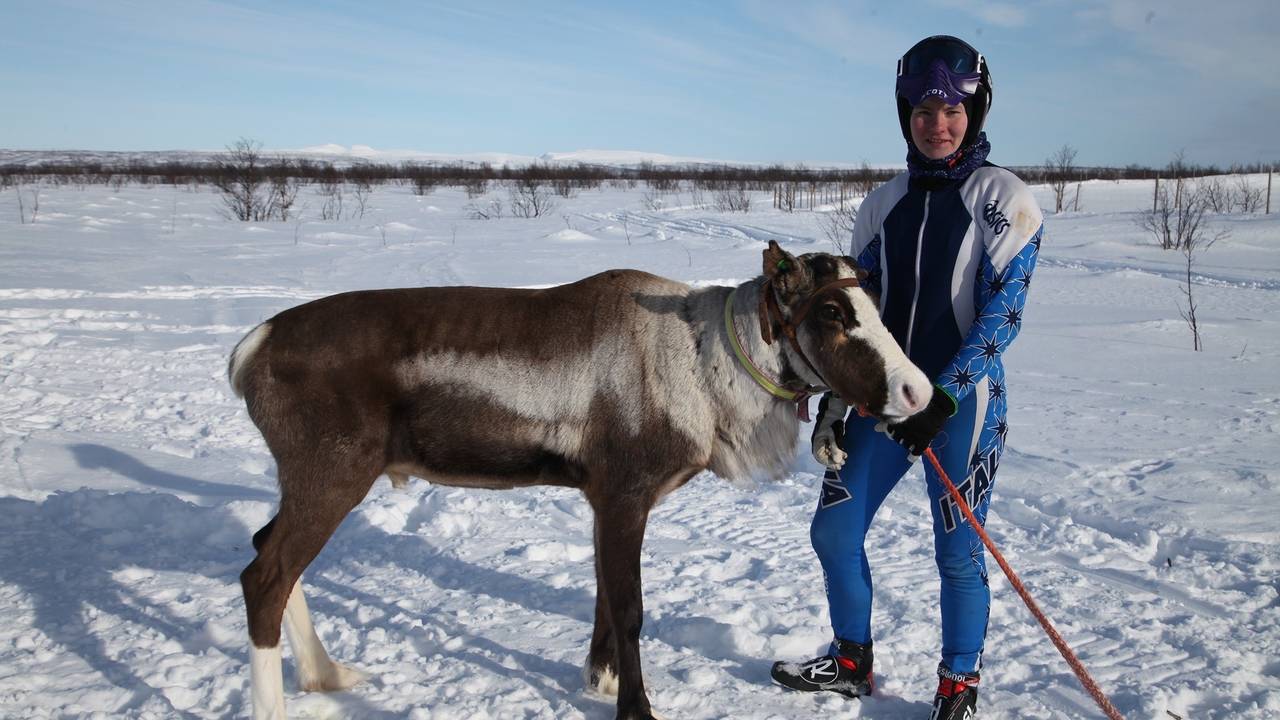 Anne Risten Sara - reinkappkjører