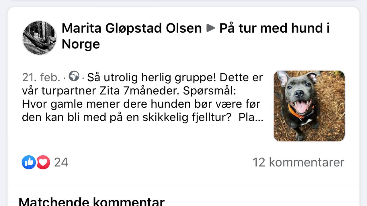Skjermdump