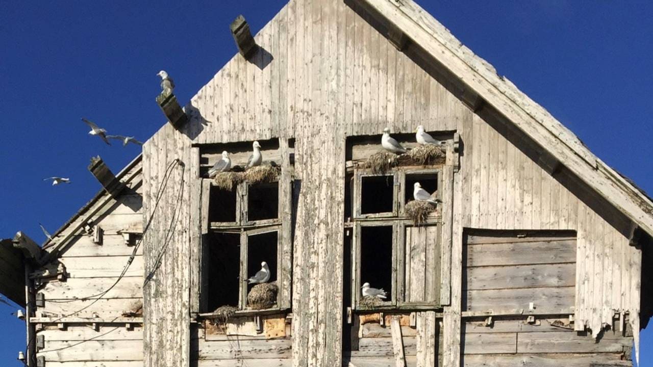 Huset på Røst, Toralfhuset