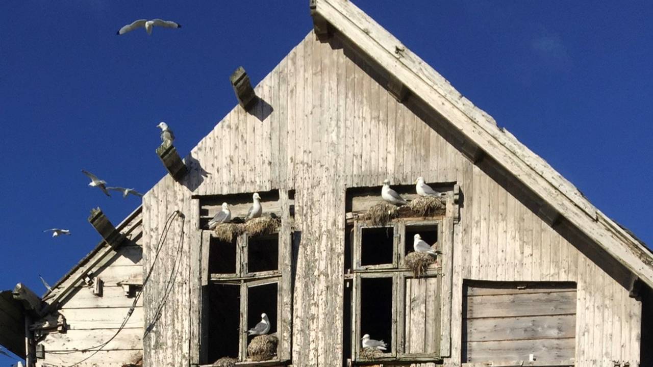 Huset på Røst, Toralfhuset
