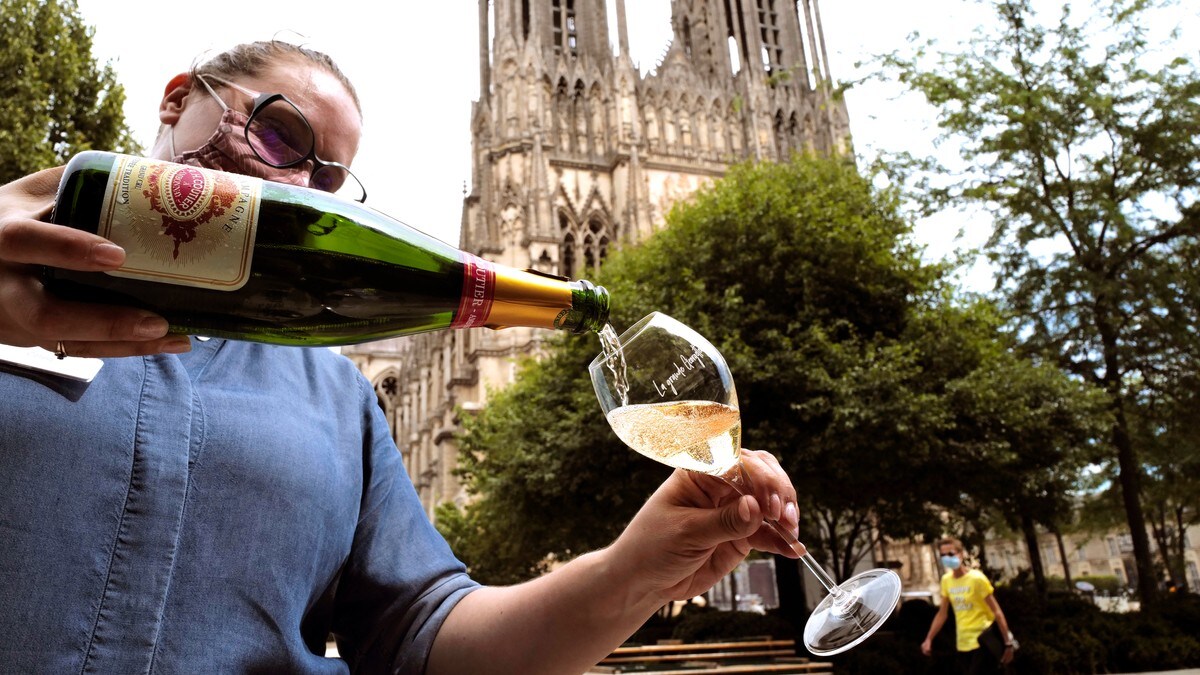 Enighet etter langvarig krangel: Champagnebønder må kaste flere tonn druer