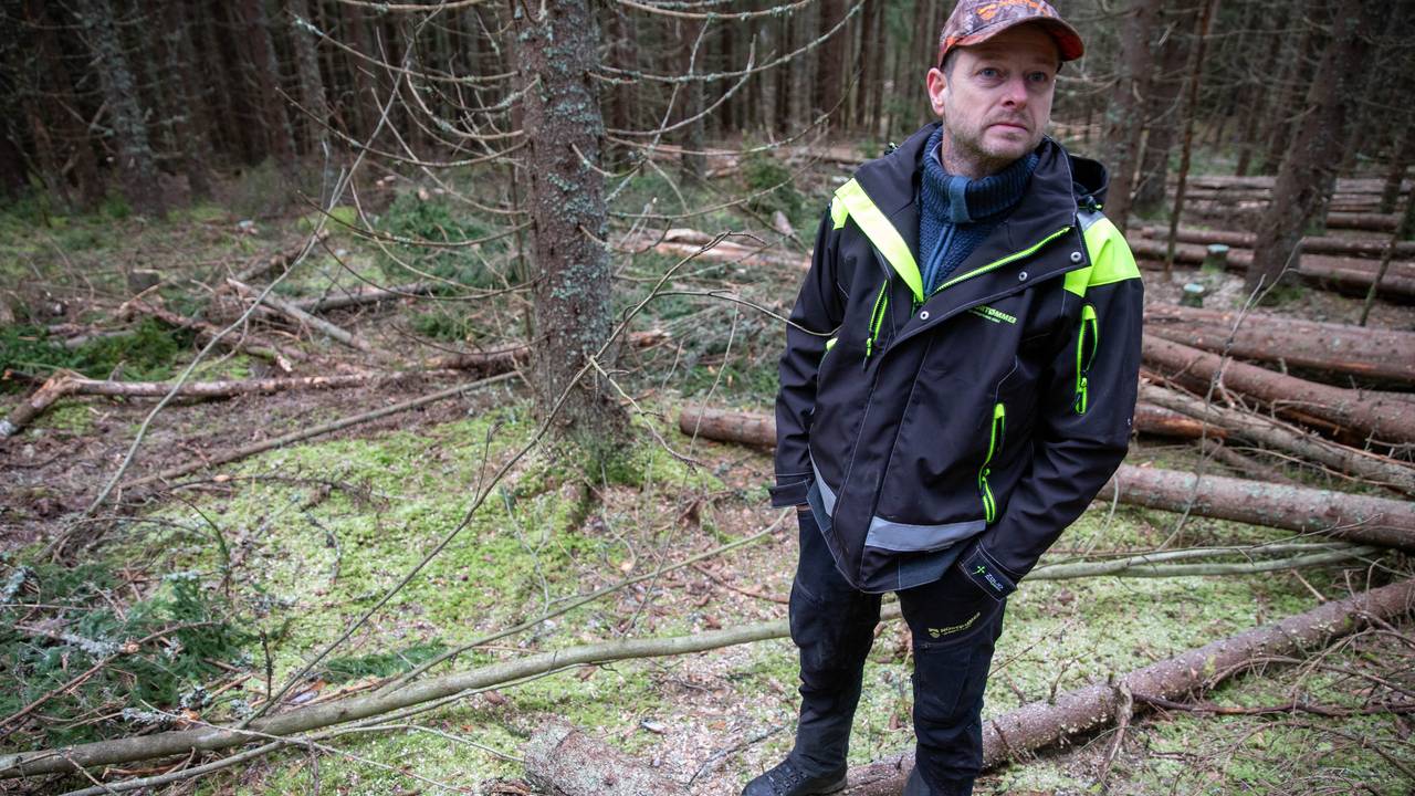 Endre Granum. Virkeskjøper. Skog på Gran.