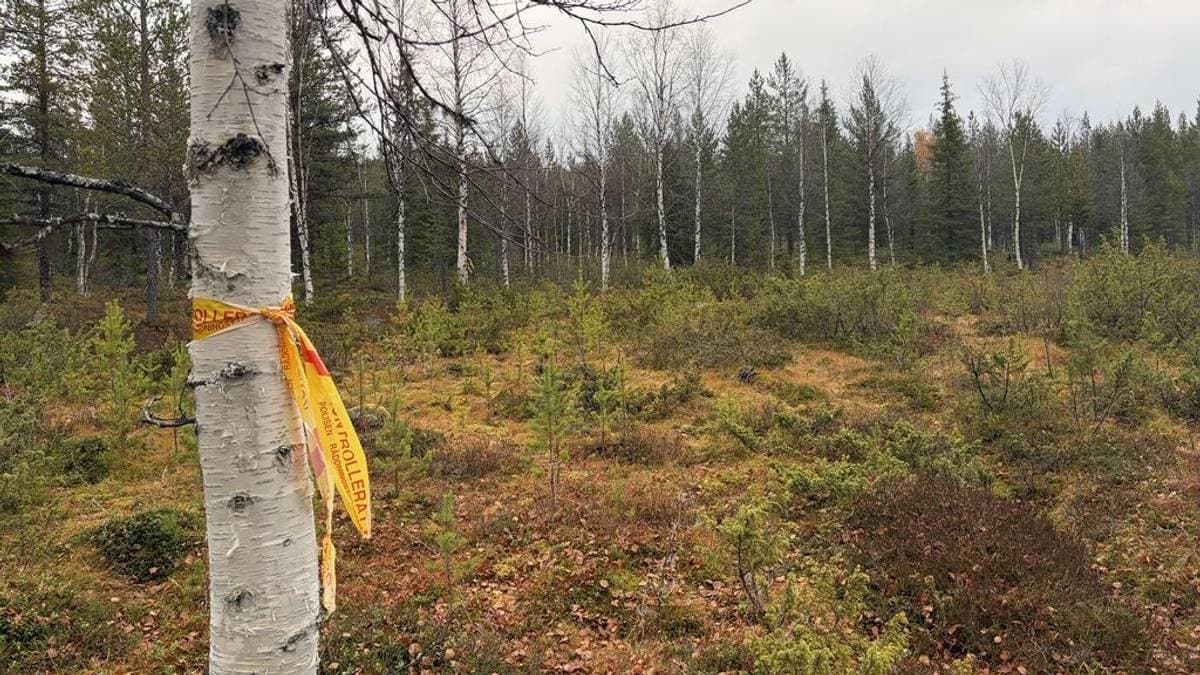 Jaktområde i Arjeplog