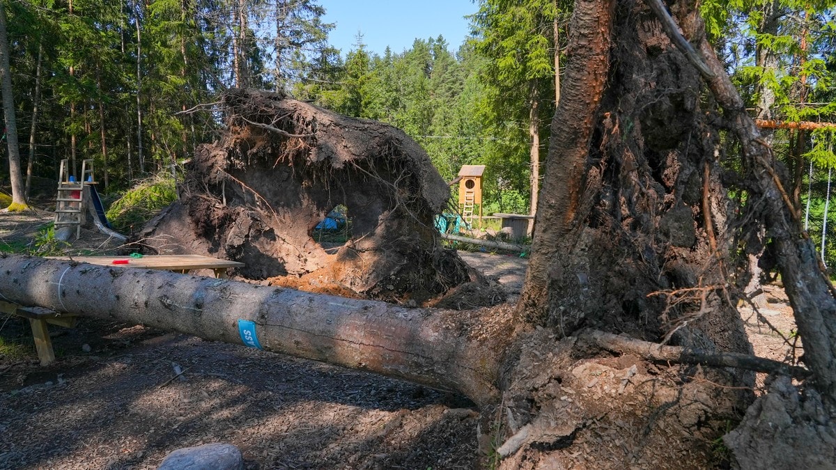 Besøksgård i Indre Østfold hardt rammet av tordenvær