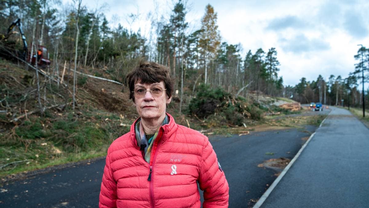Skogen blei rasert med motorsag – naboar vurderer å leige inn privatetterforskar