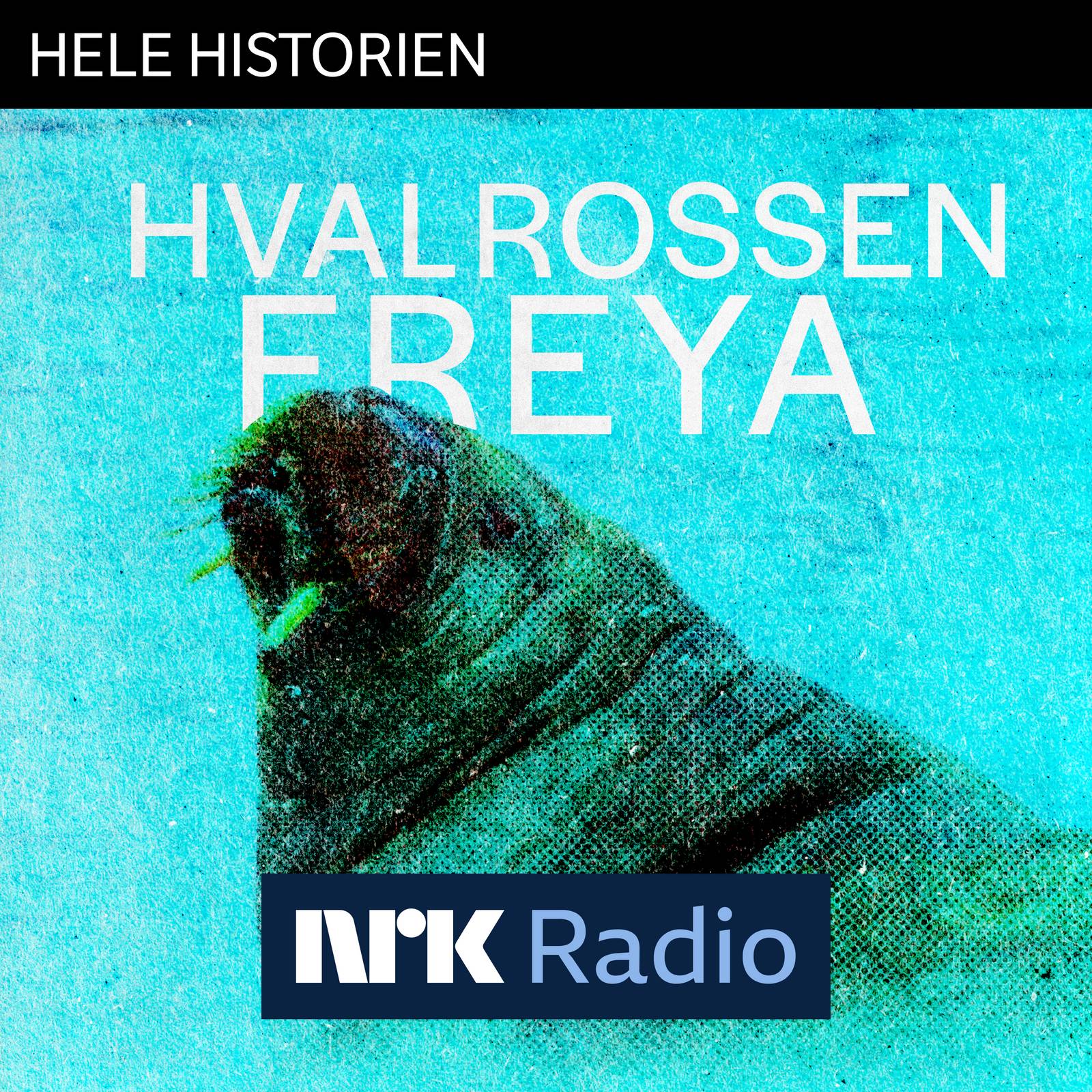 Hele historien
