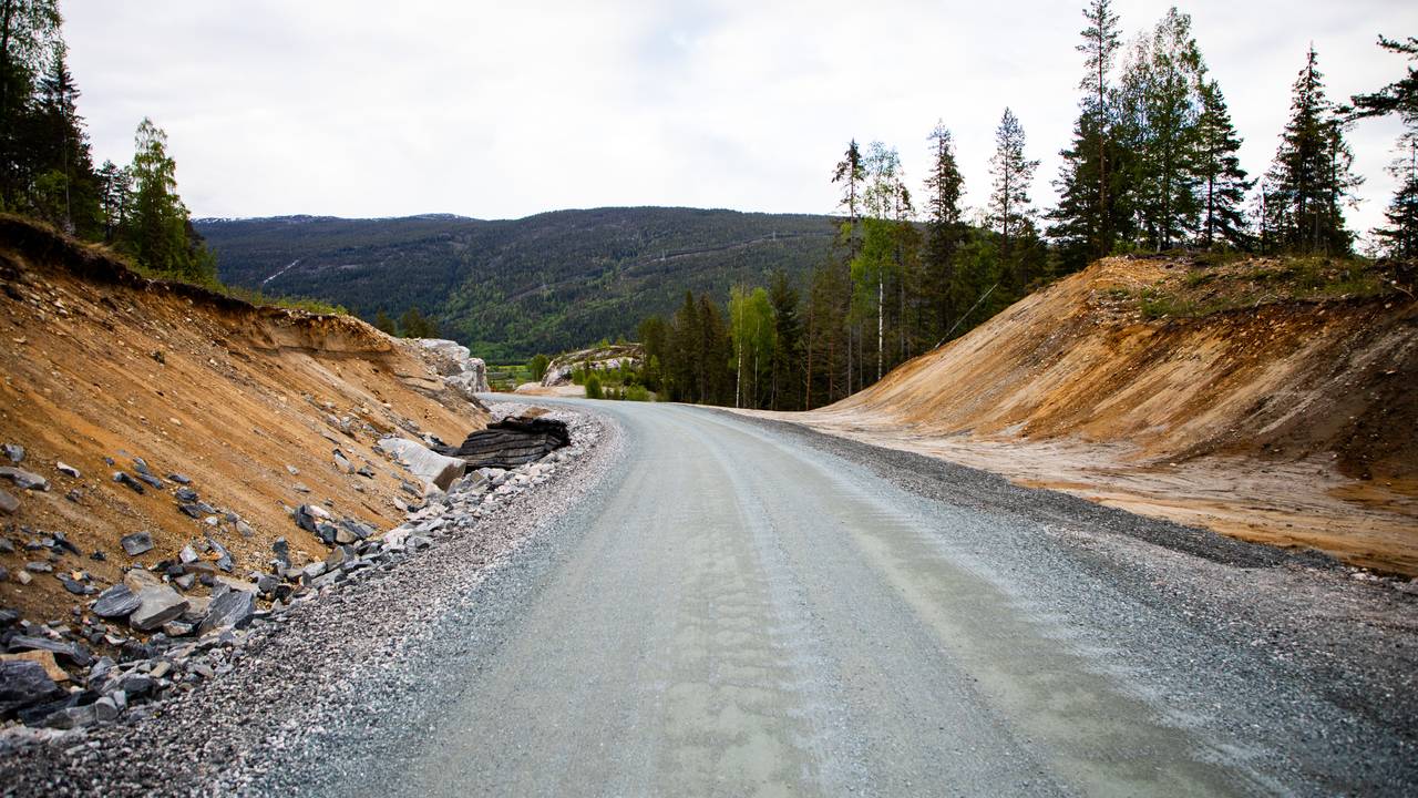 Høgevarde