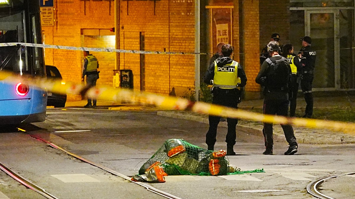Polititeori om granatangrepet: Milliongjeld og kidnapping til Danmark