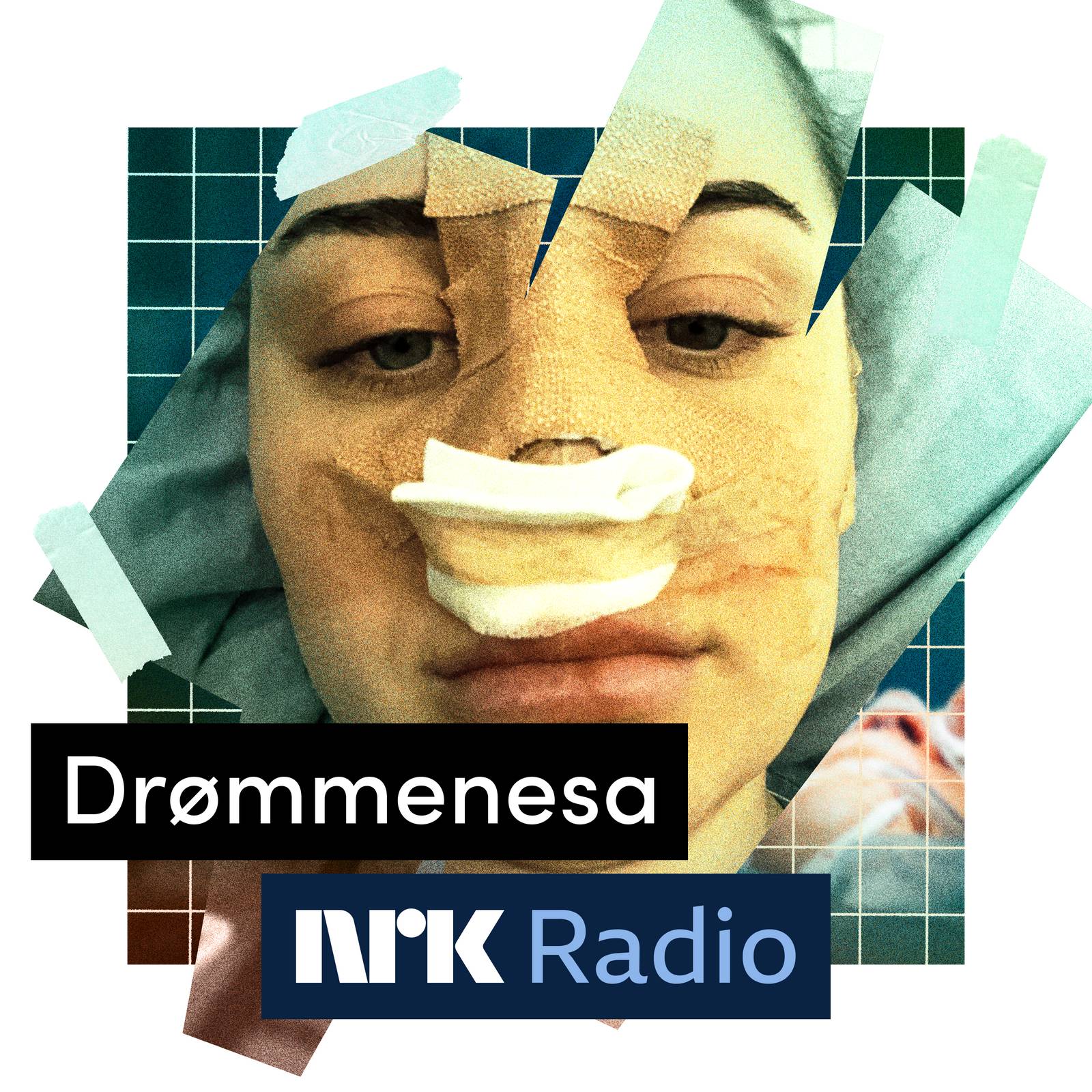 I NRK Radio: Drømmenesa