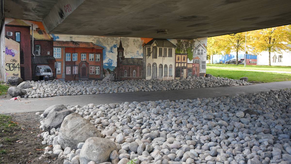 La ut stein for å fjerne uteliggere