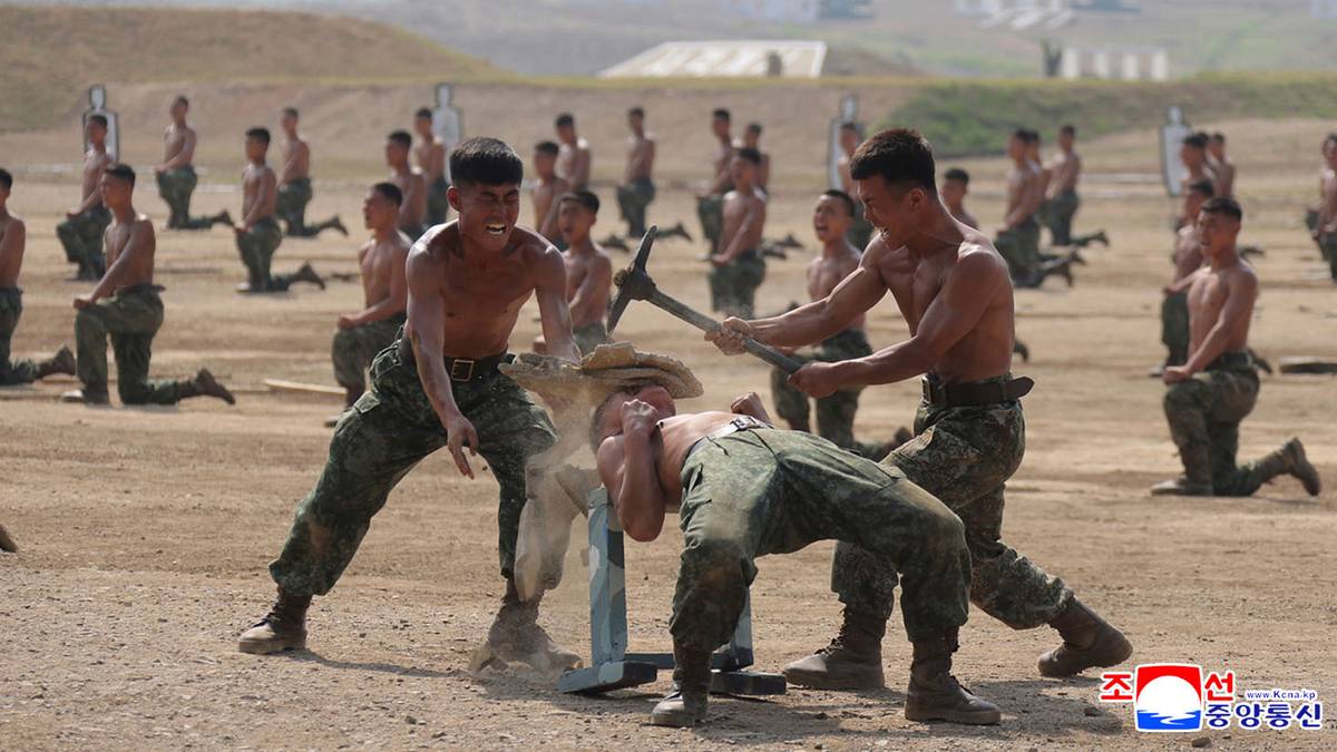 Nye 30.000 nordkoreanske soldater til krigen mot Ukraina