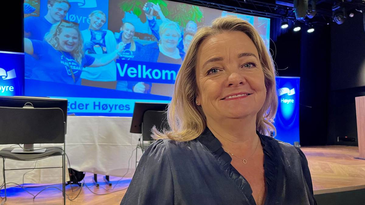 Ny fylkesleder i Agder Høyre