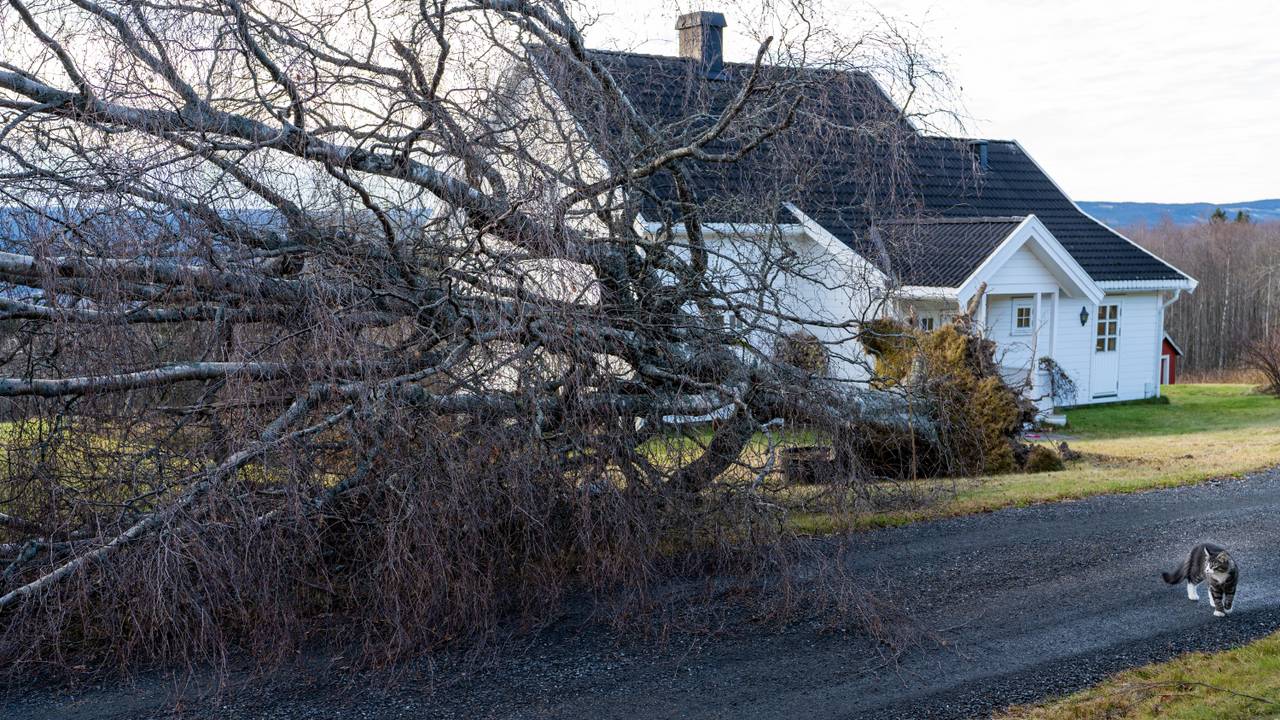 Store ødeleggelser etter uværet.