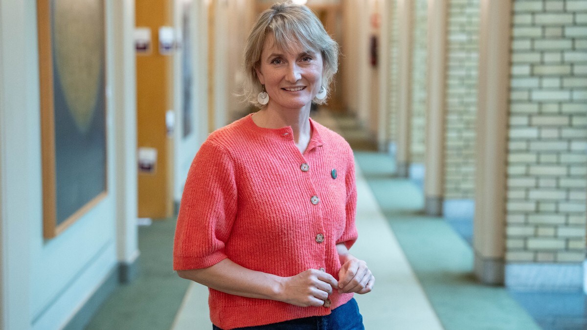 Riksrevisjonen kritiserer Skatteetaten for manglende momskontroll