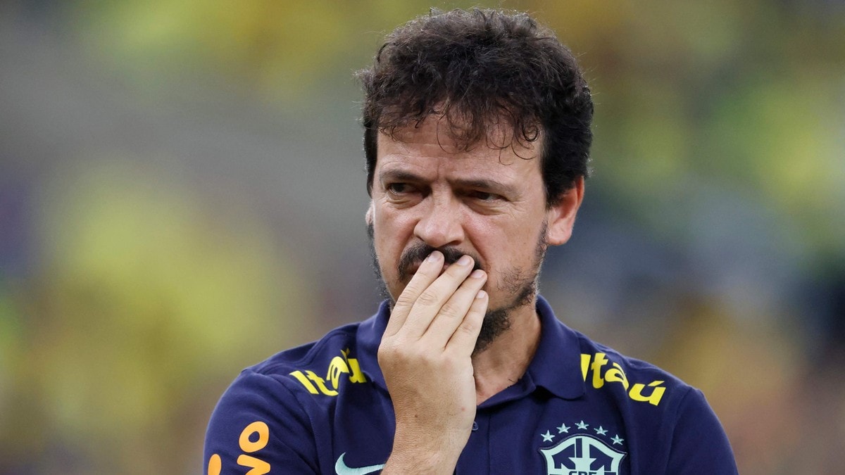 Brasil sparket landslagssjefen