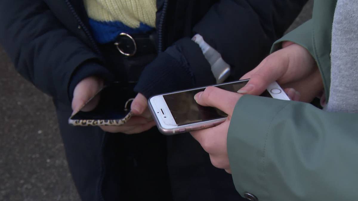 Mobilfrie skoler i Birkenes