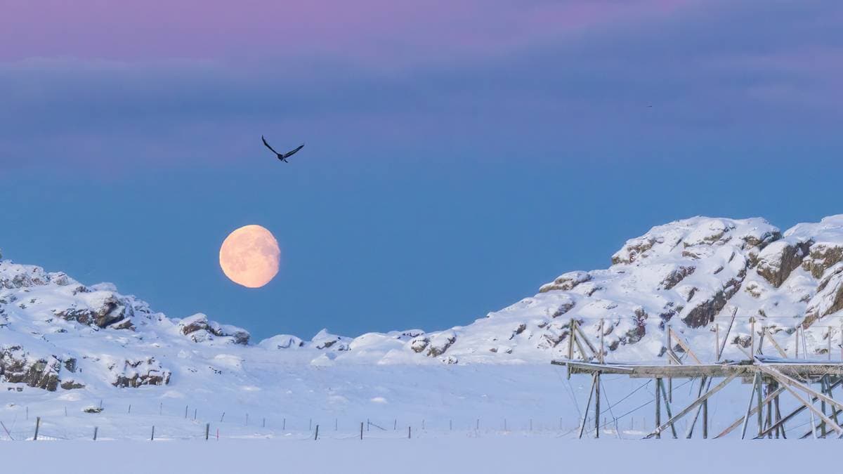 Derfor gjorde strømprisen et voldsomt byks i dag