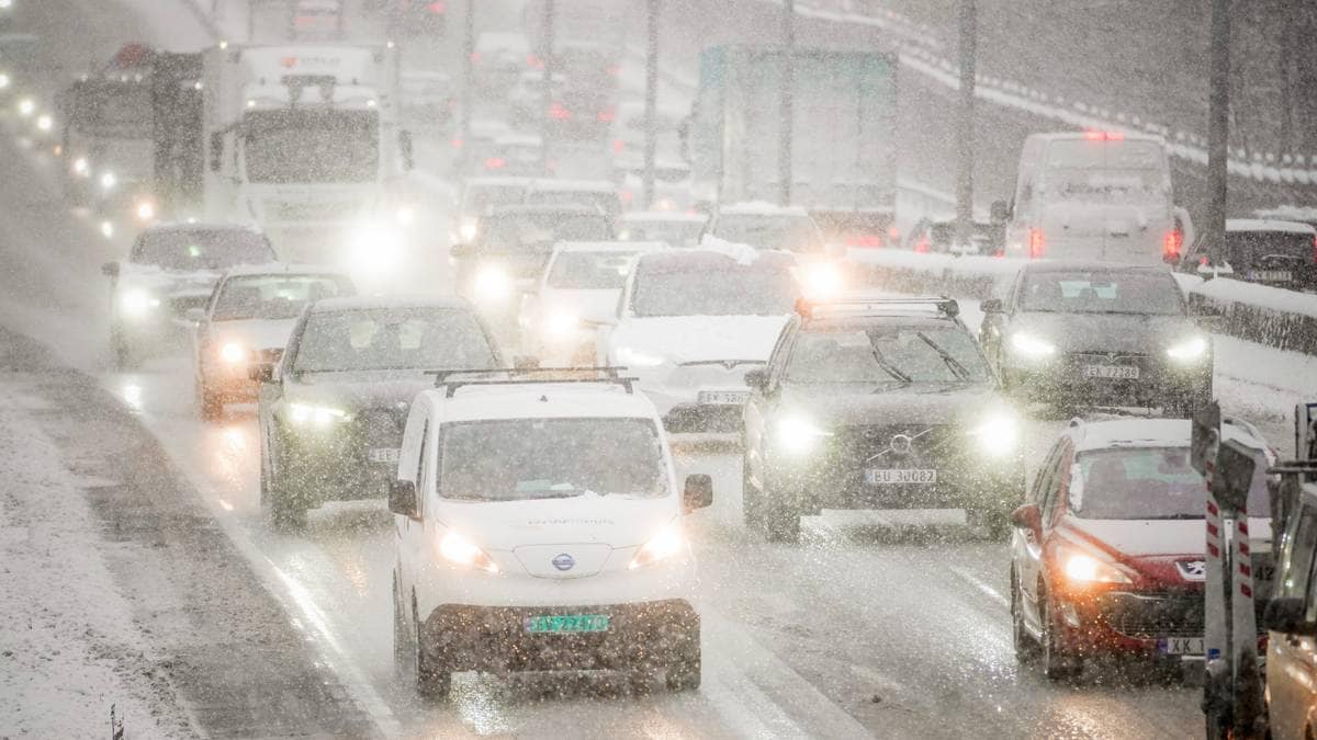 I dag skal «alle» hjem: – Vær forberedt på køer