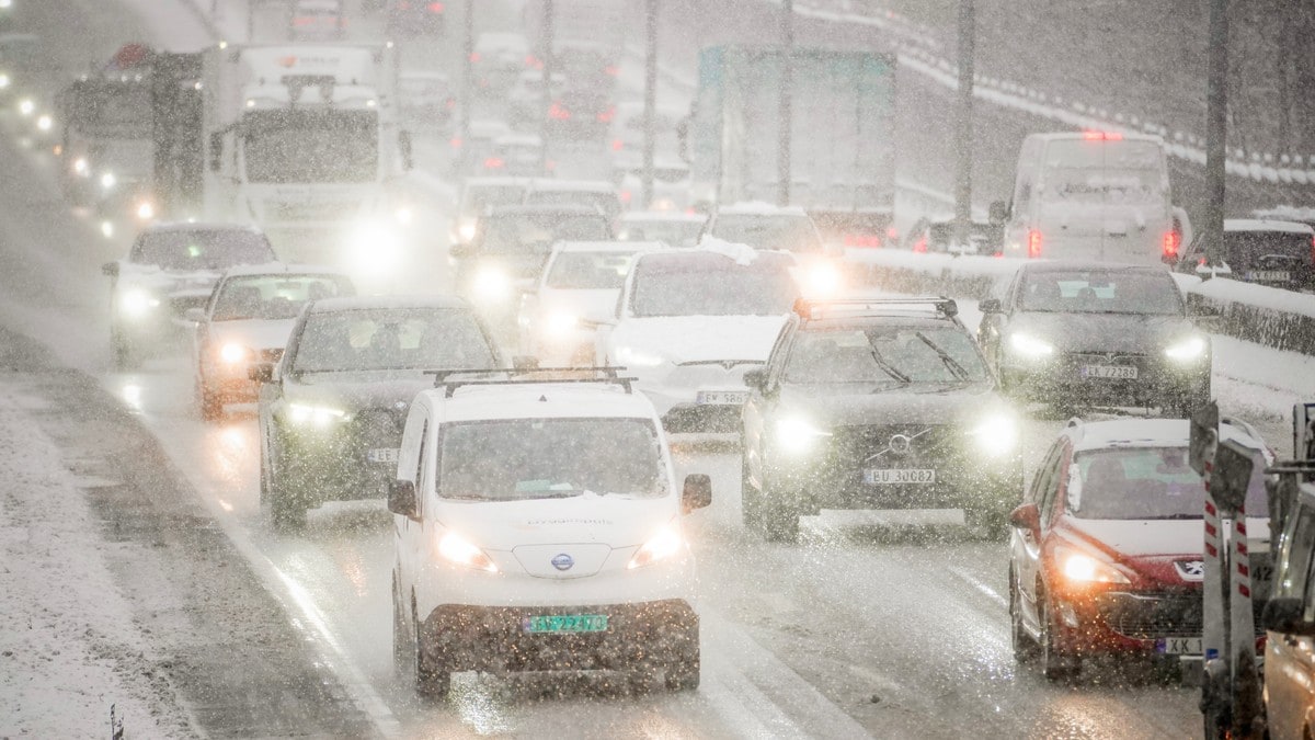 I dag skal «alle» hjem: – Vær forberedt på køer