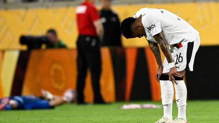 savinho stares into the grass.