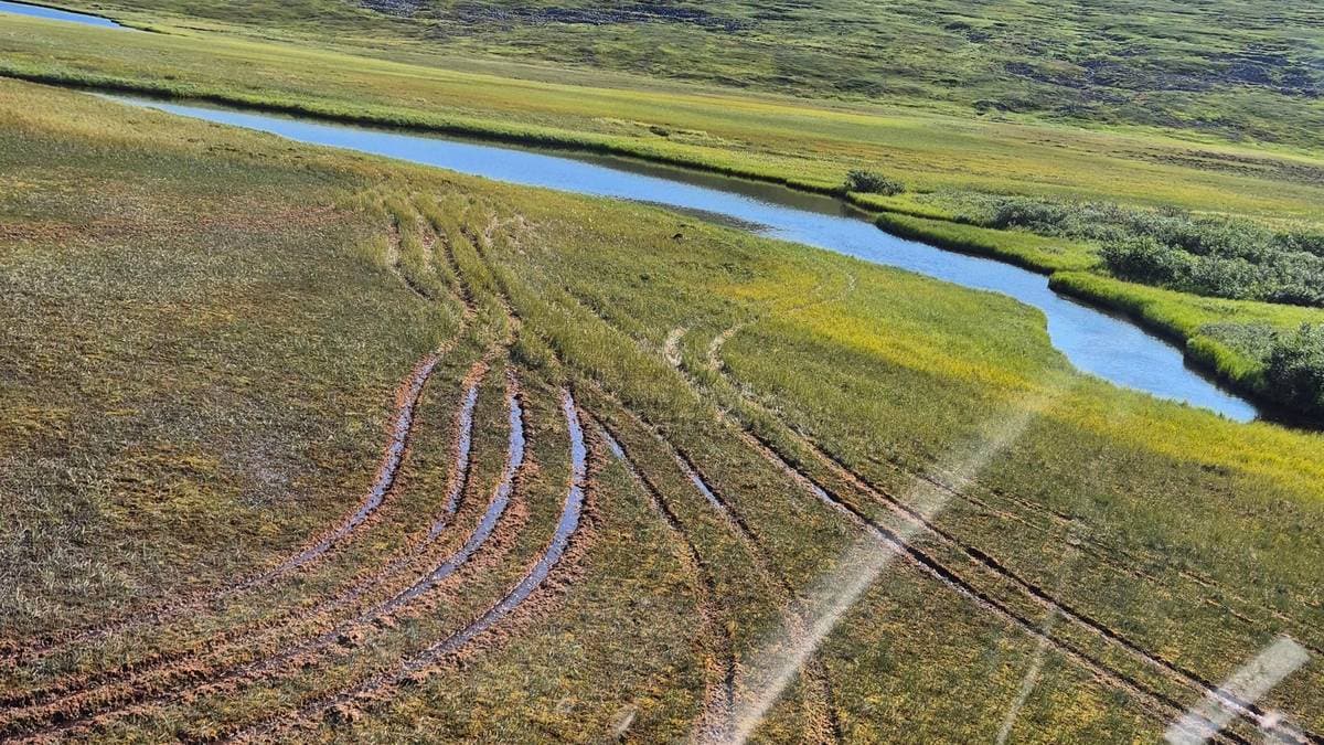 Pløyde opp nasjonalpark med ATV – i hekketiden