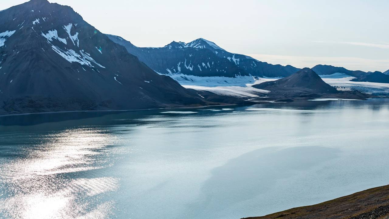 Trygghamna på Svalbard 2019