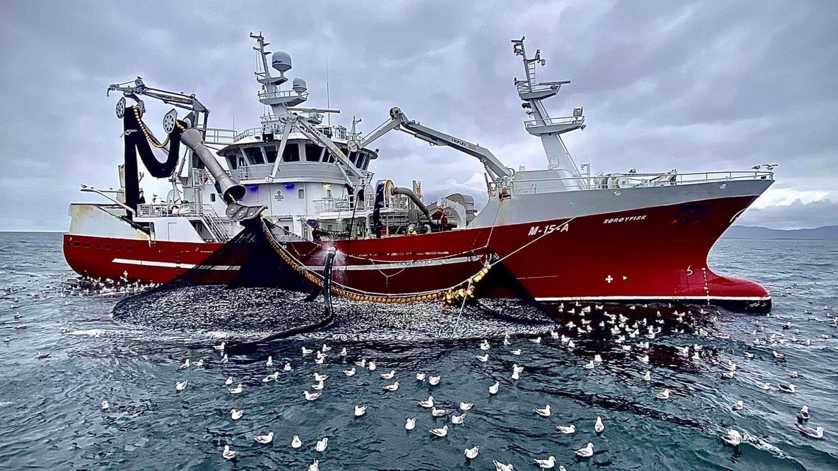 Staten ga bort snøkrabbekvoter basert på tvilsomme kostnader