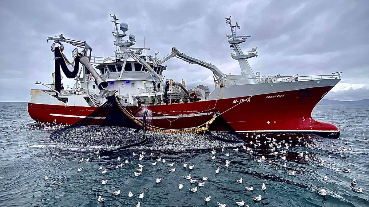Fikk enorme krabbeverdier med treskruer, muttere, lyskastere og covid-tester