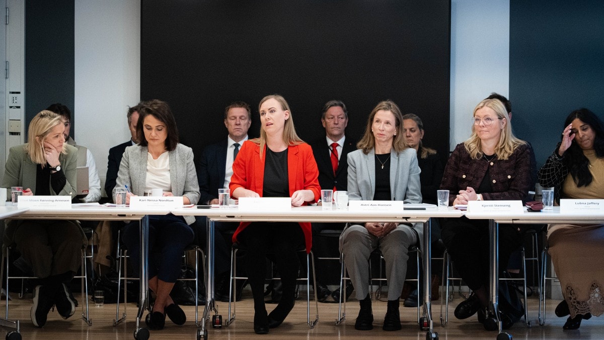 Slik vil regjeringen strupe ungdomskriminaliteten