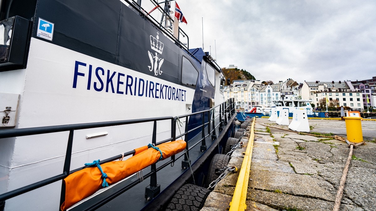 Fiskeridirektoratet seier nei til torskeoppdrett