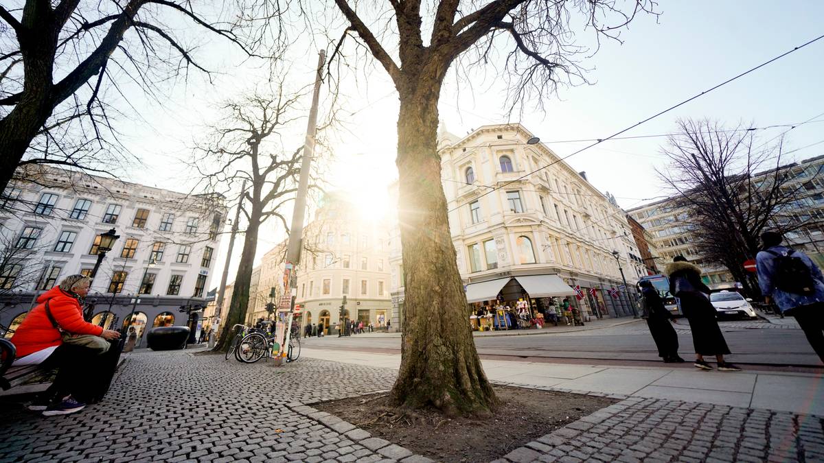 Nye tall: Så mange flere vårdager har det blitt i Norge