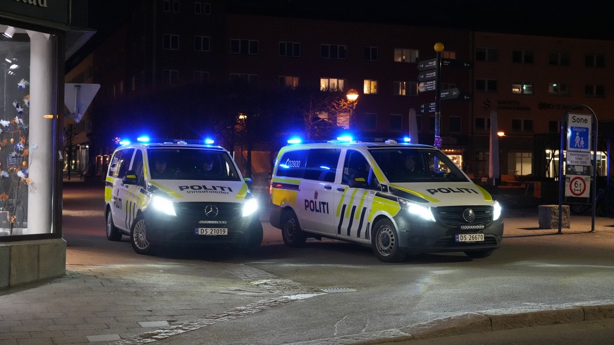 Mann er pågrepet etter flere branner i Hamar