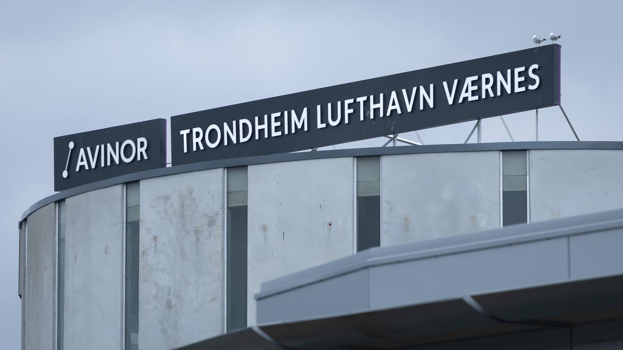Et skilt på taket av parkeringsanlegget. Her står det Avinor, Trondheim lufthavn Værnes. To måker sitter på enden av skiltet. Vi ser deler av parkeringsanlegget