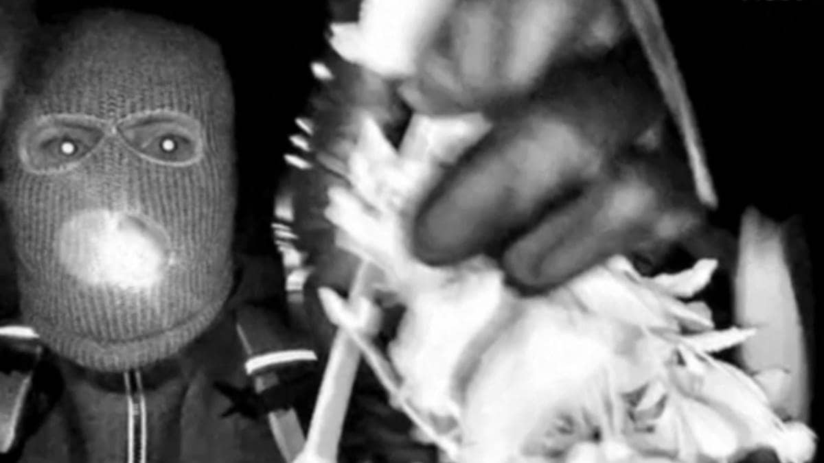 Nancy Guthrie (84) bortført frå heimen sin – FBI utløyser dusør