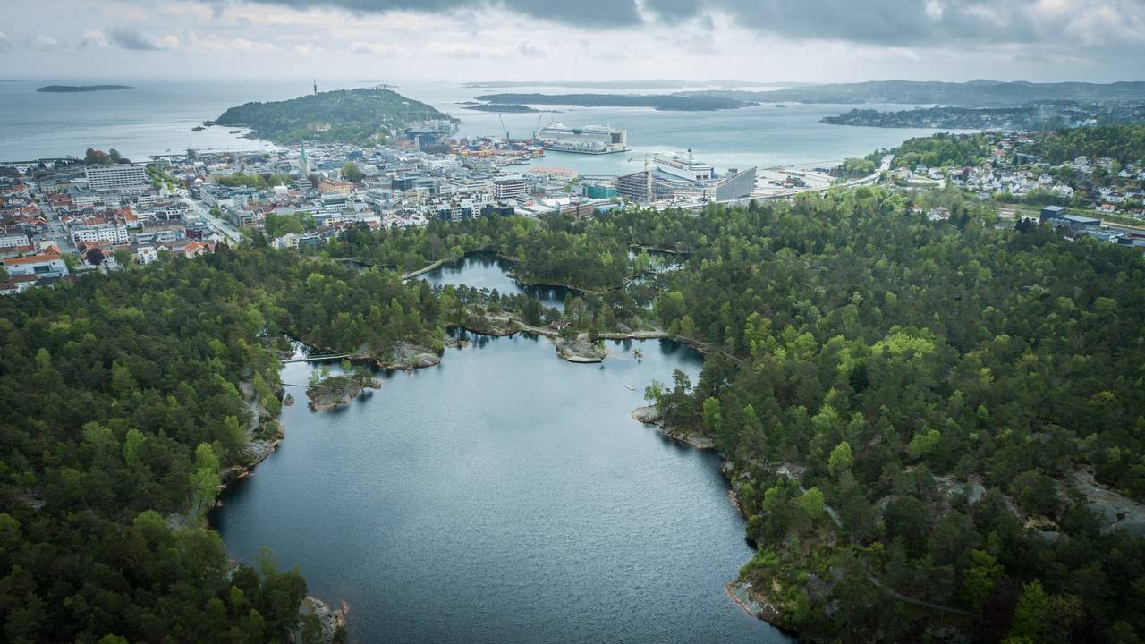 Baneheia i Kristiansand