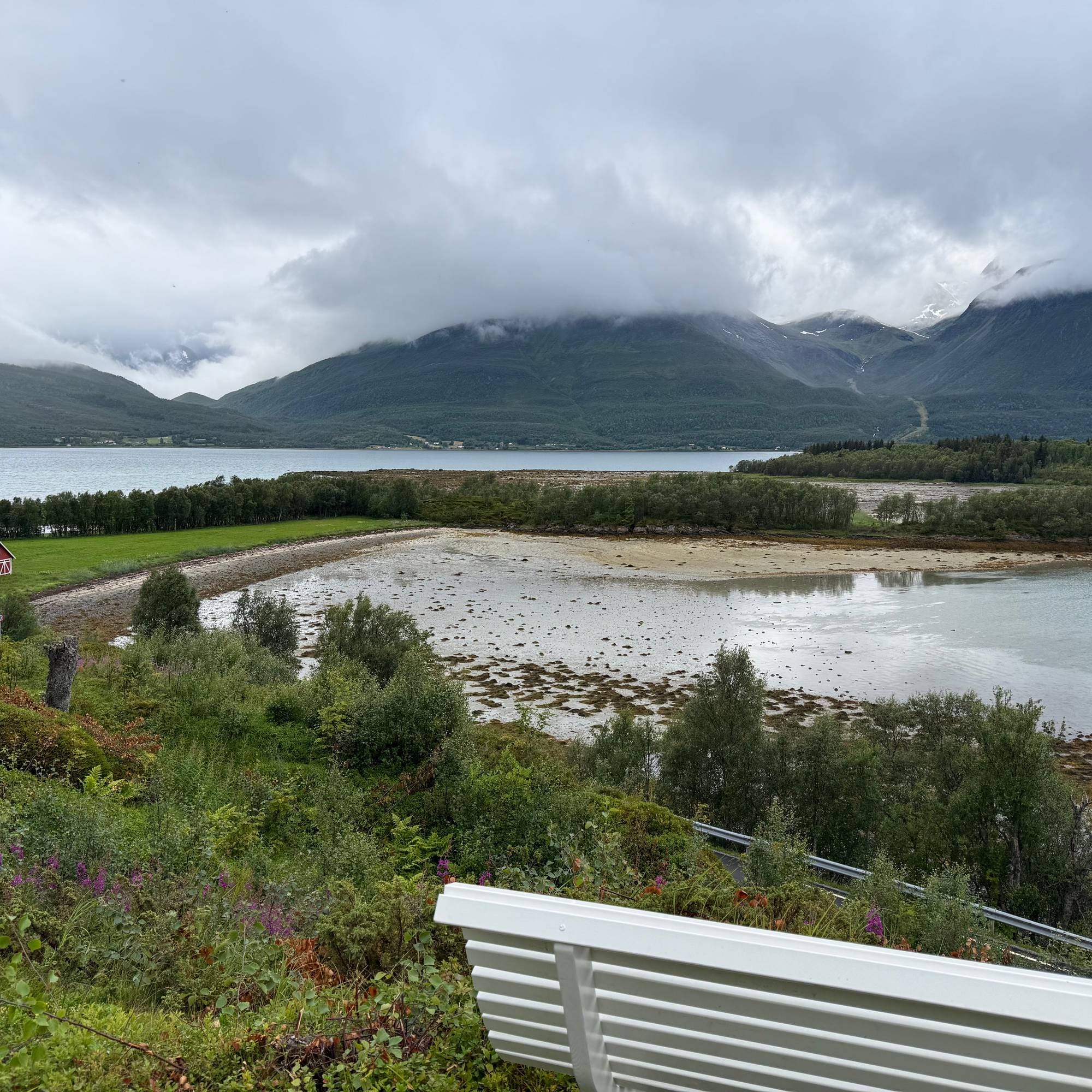 En benk i forgrunnen foran en fjord med strand og pen utsikt
