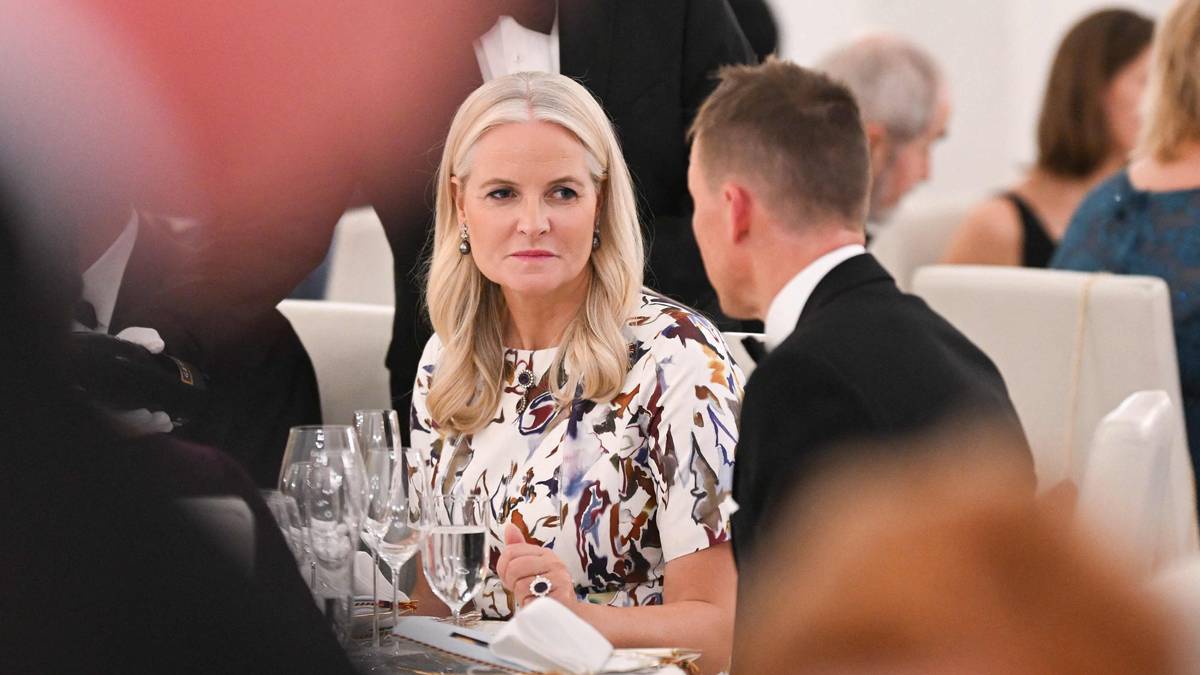 Snekkestads bistandsadvokat ber politiet kalle inn kronprinsesse Mette-Marit til avhør