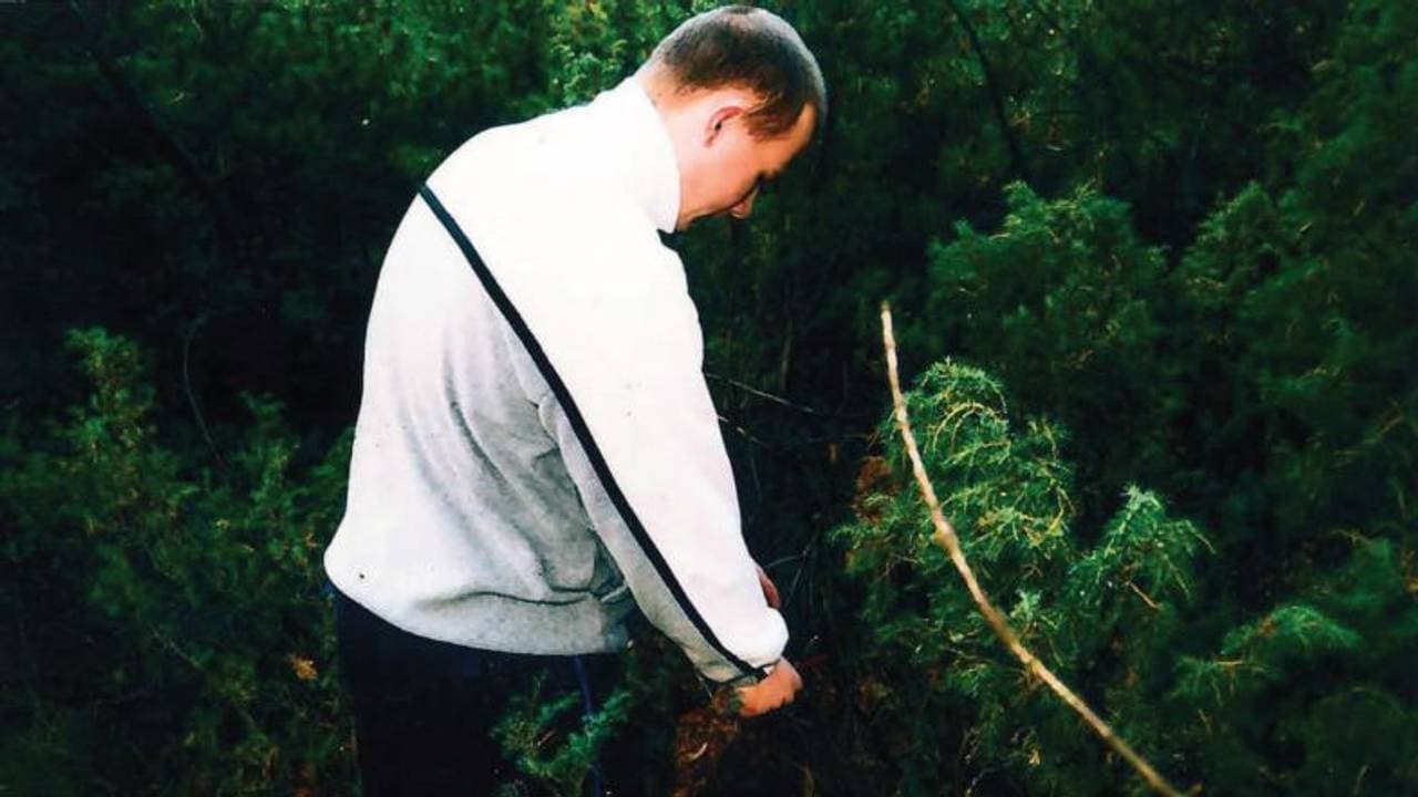 05 rekonstruksjon Baneheia farger