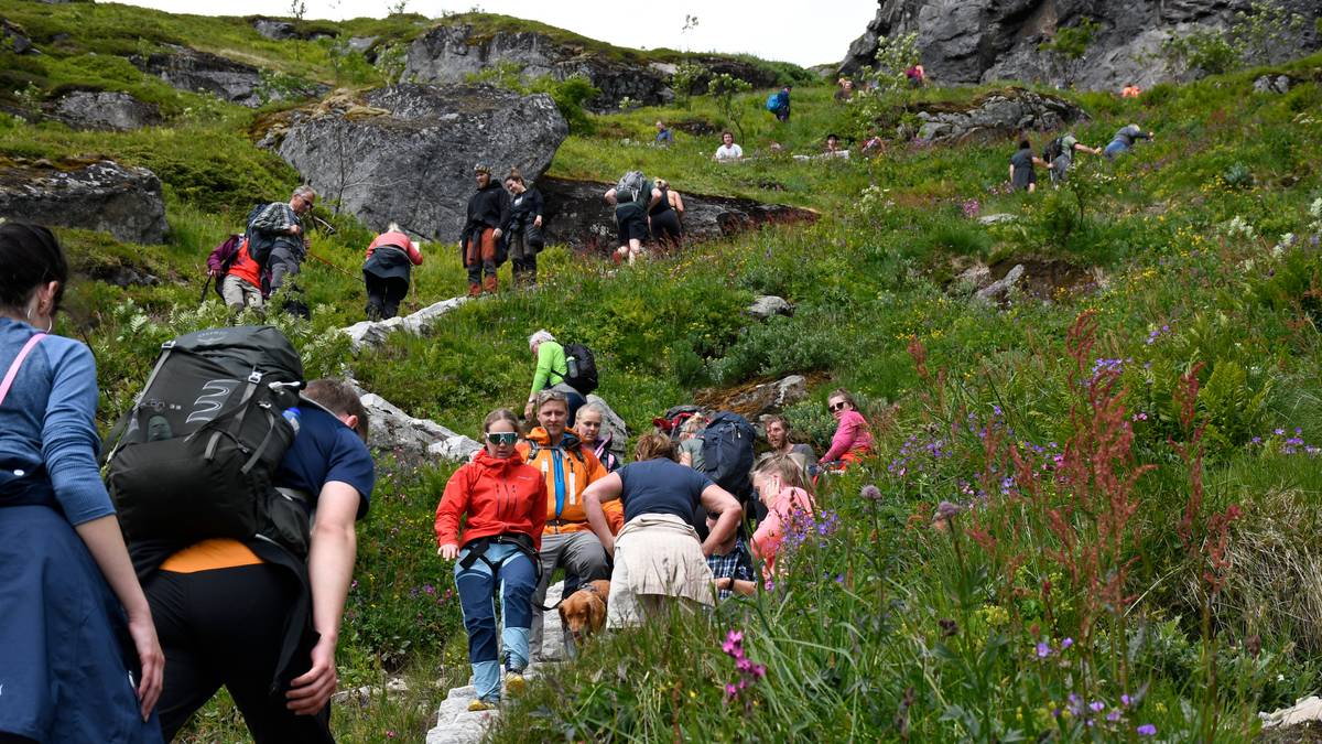 Satellittbilder skal berge norsk natur: – Ingen har gjort dette tidligere
