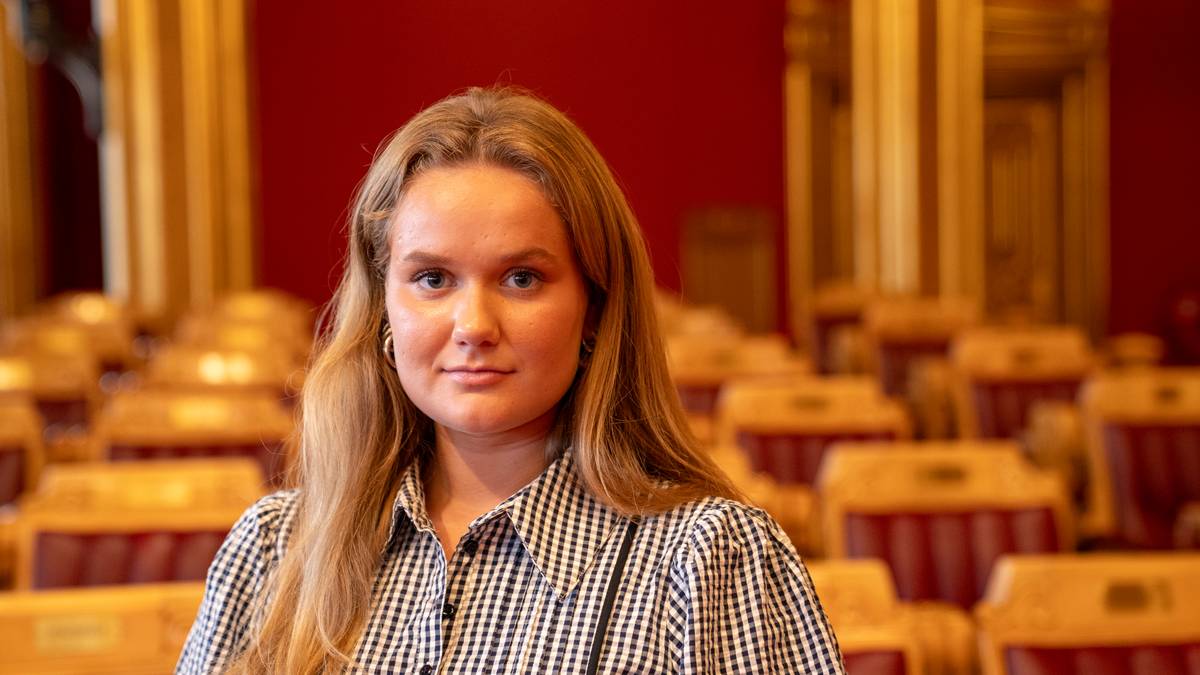 MDG krev omkamp om noregspris – vil kutte 10 milliardar