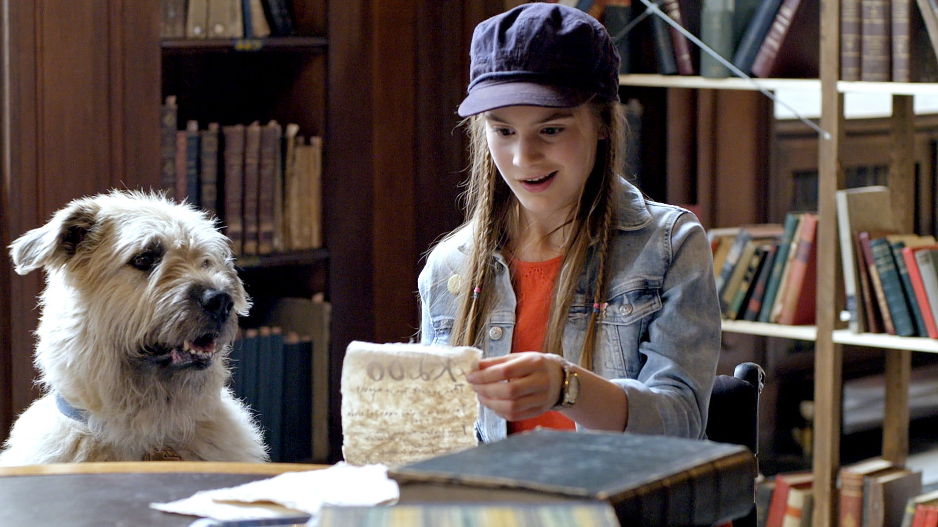 лохматый пес фильм 1994. фильм благодаря винн дикси. фильм крошка из беверли хиллз. кэтрин прескотт собачья жизнь 2. фильм собачья жизнь 2.