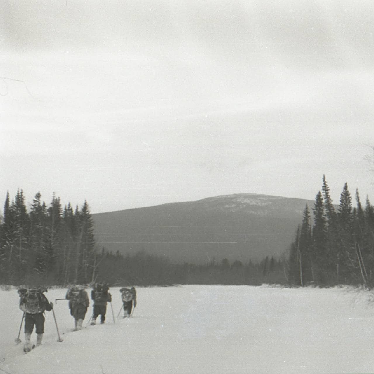 Gruppa går på ski
