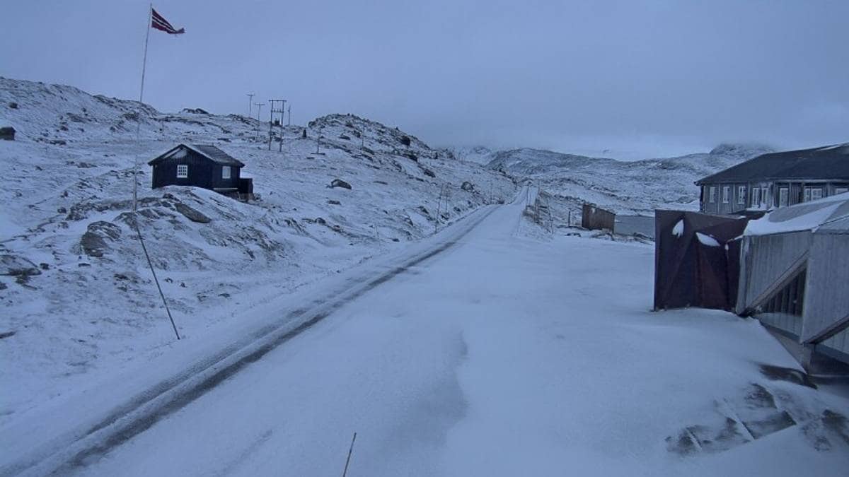 Snø på Dovrefjell