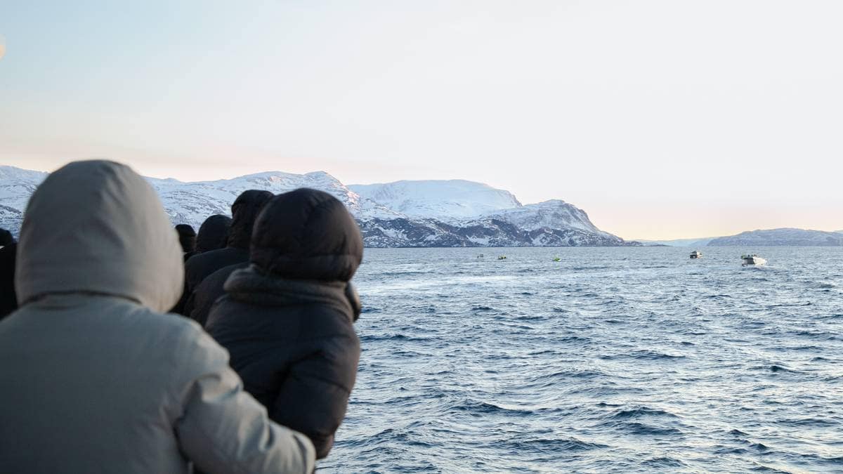 Anne så 26 båter rundt én hvalflokk: – Det var galskap!