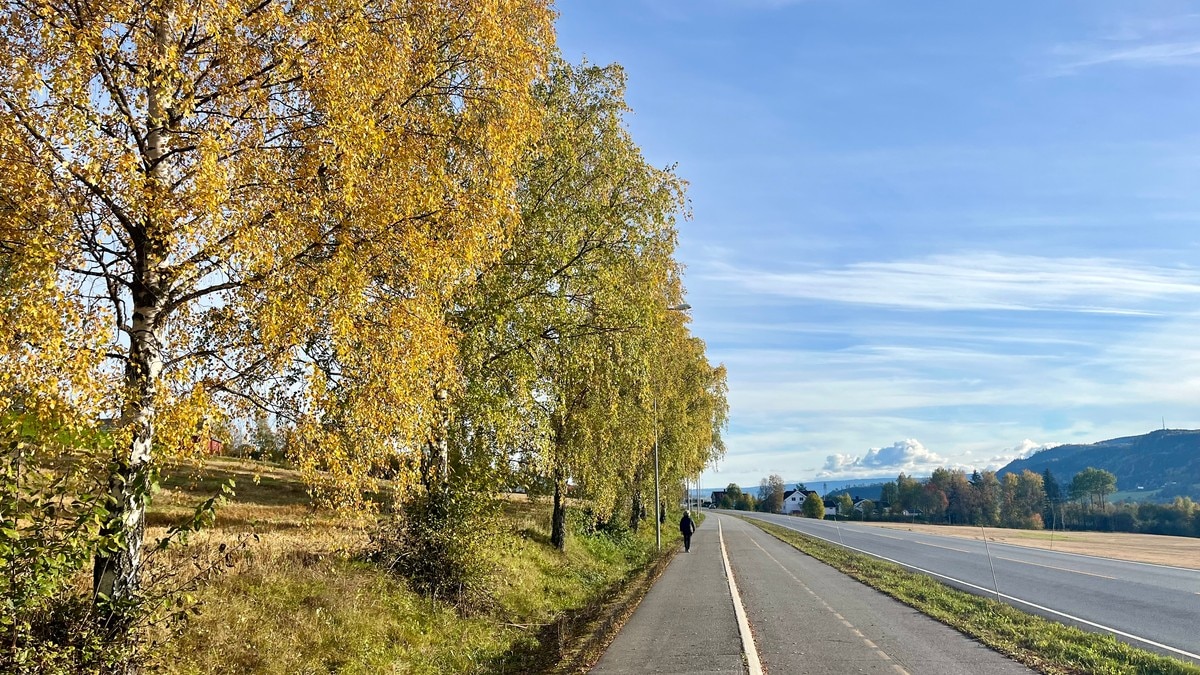 Én klar værvinner i høstferien