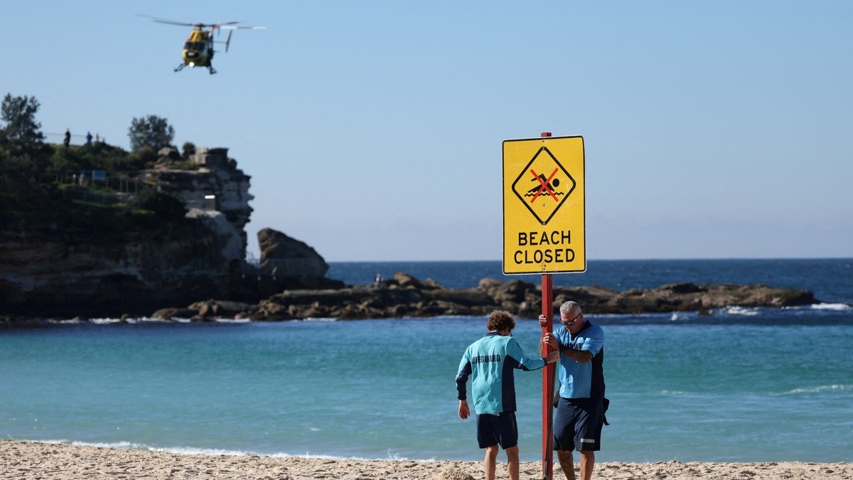 Australia vil endre reglar etter haiangrep