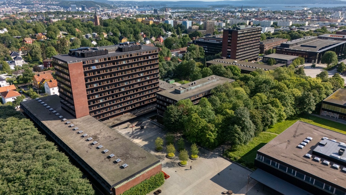 Nettsidene til flere universiteter var nede: – Ikke så gøy dagen før studiestart